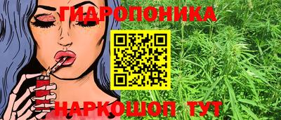 хмурый Гусев