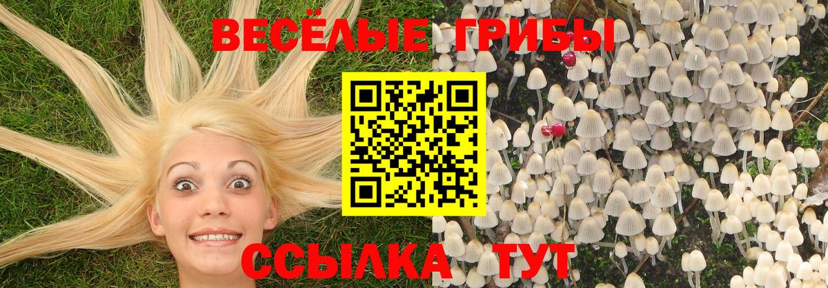 Псилоцибиновые грибы прущие грибы  Вход с VPN  Видное 